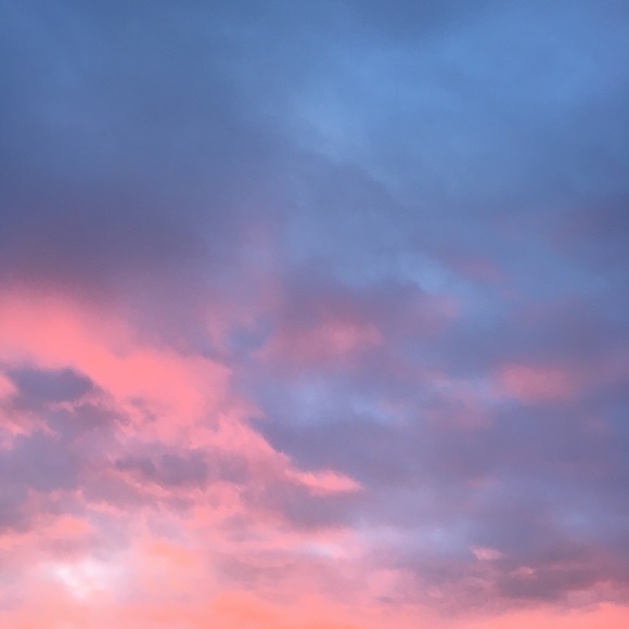 Meet your Posher, Grace - Picture 1 of 1